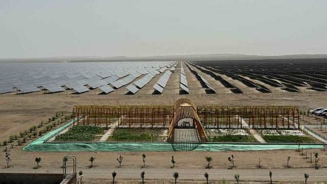 中广核洛浦光伏电站：引领新疆新能源发展 助力生态环境改善