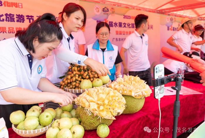 百千万工程 | 化州新安水果又飘香，7月13日约起~