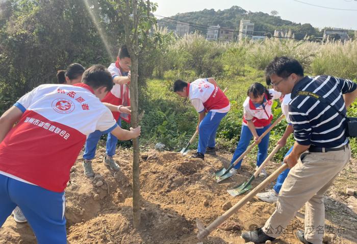 高州：持续巩固乡村绿化成效，乡村“一时绿”变四季青