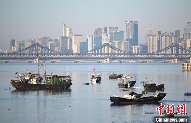 浙江杭州钱塘江结束禁渔期后迎来开渔