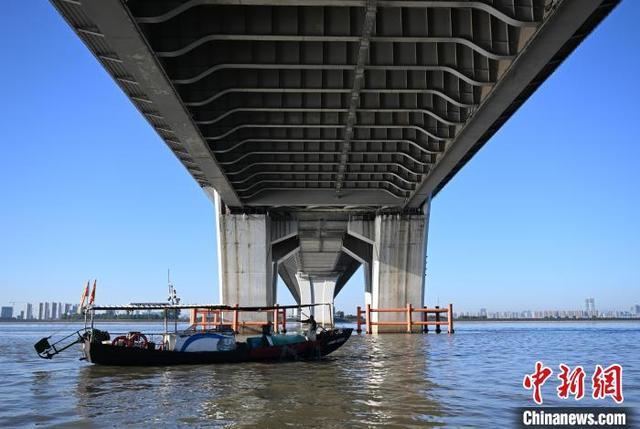 浙江杭州钱塘江结束禁渔期后迎来开渔