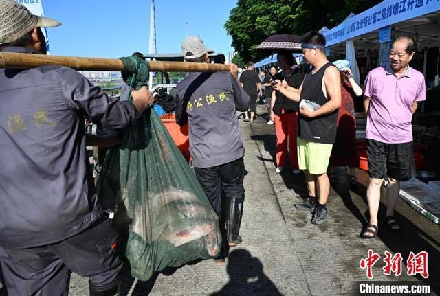 浙江杭州钱塘江结束禁渔期后迎来开渔