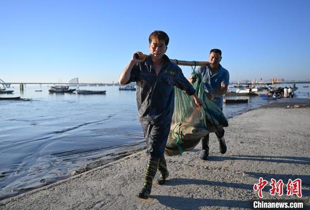 浙江杭州钱塘江结束禁渔期后迎来开渔