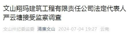 云南一企业法定代表人被查