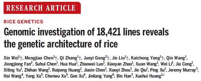 黄学辉团队在《科学》刊文：研究1.8万份水稻“混血儿”，探索遗传构架