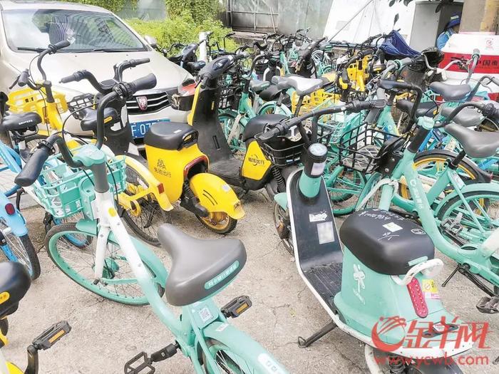 广州两名男子骑共享电单车被罚引争议 记者街头走访调查