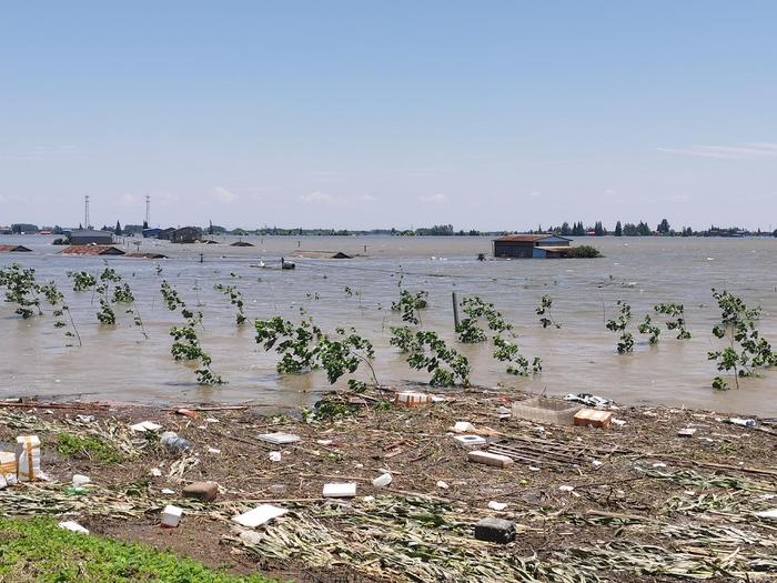 湃现场｜华容洞庭湖大堤决堤抢险：成队卡车载块石等待封堵溃口