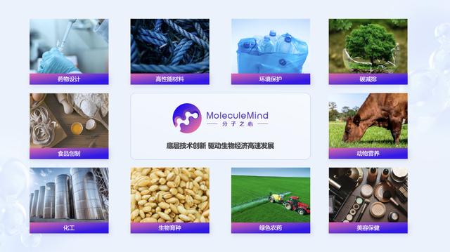 分子之心：用AI大模型“创造”蛋白质，解决超高难度产业问题