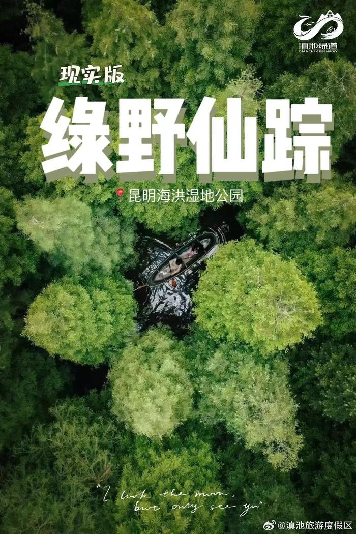 现实版“绿野仙踪”？去昆明海洪湿地公园来一场与城市之肺的自然奇遇吧！