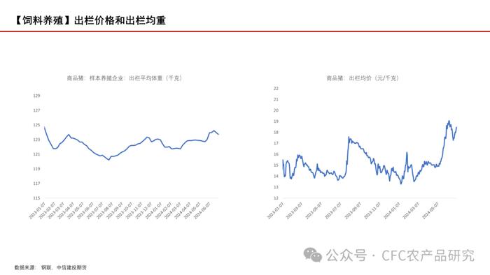 【玉米周报】期现货回调，留意天气炒作 20240707