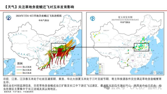 【玉米周报】期现货回调，留意天气炒作 20240707