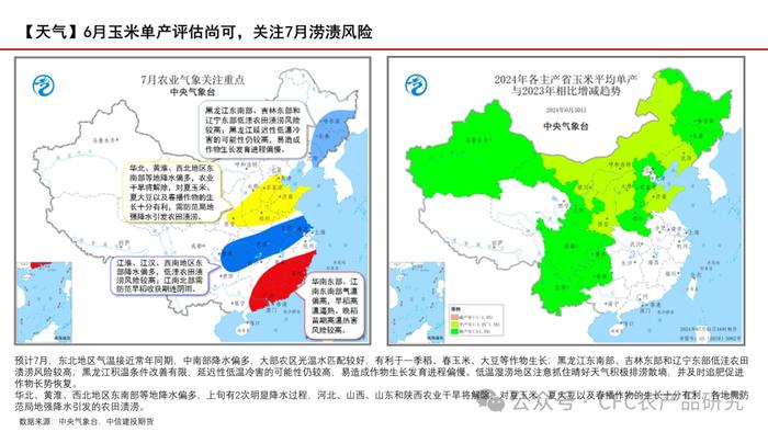 【玉米周报】期现货回调，留意天气炒作 20240707