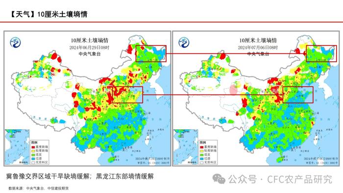 【玉米周报】期现货回调，留意天气炒作 20240707