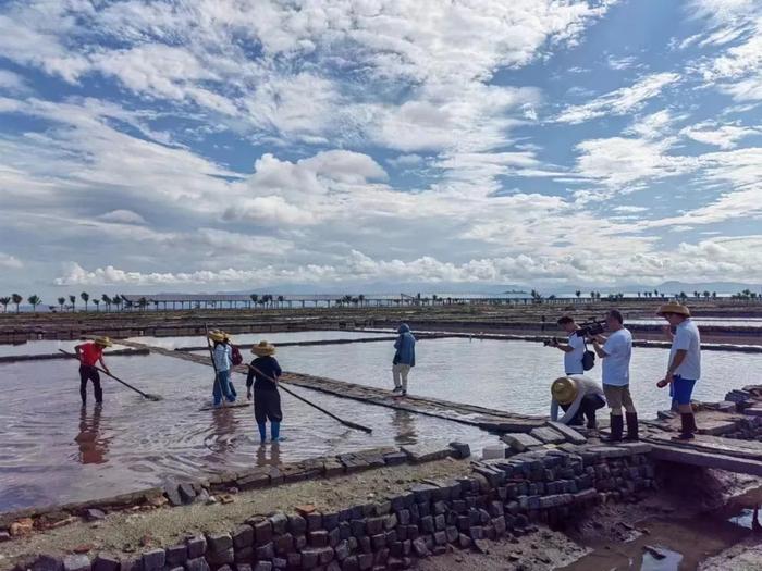 海南环岛旅游公路观光巴士线路本月实现全覆盖！（附全部线路）