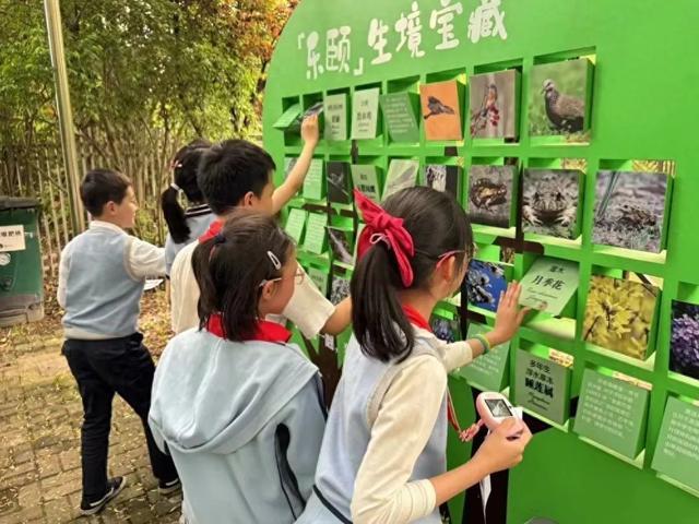 解码自然探索奥秘，上海长宁绿苑小学课后服务“搬”进社区