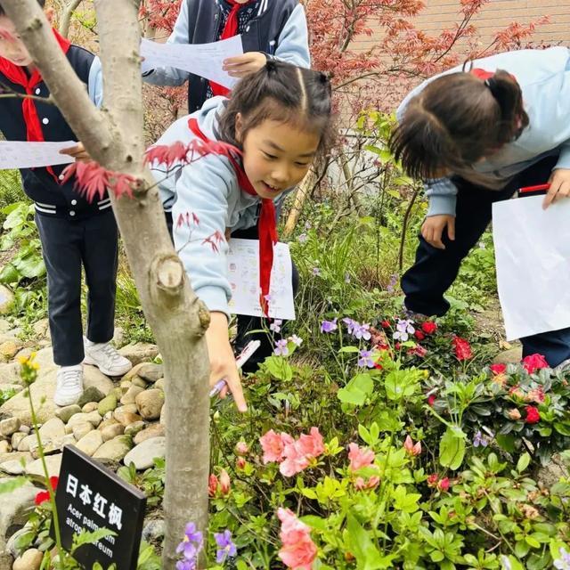 解码自然探索奥秘，上海长宁绿苑小学课后服务“搬”进社区