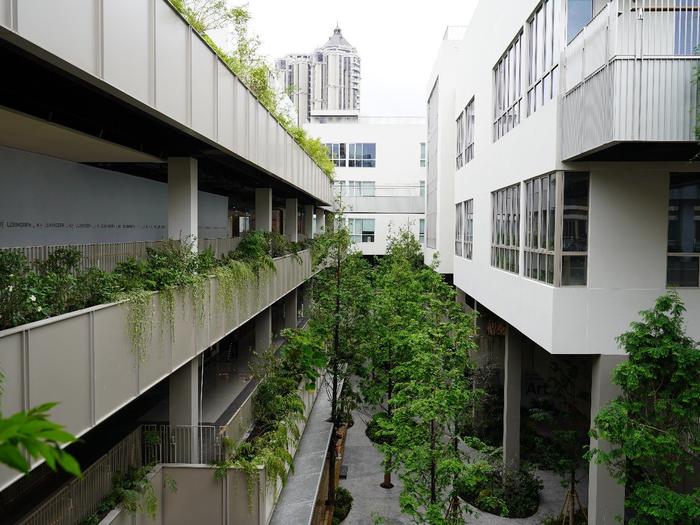 “花园”遇见“都市森林”，上生·新所拓展文化新空间