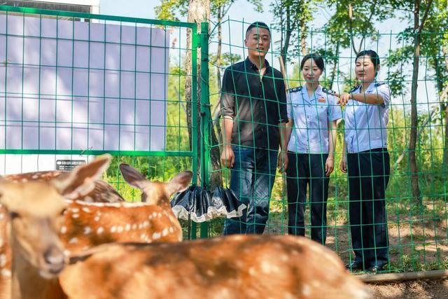 为中药材行业高质量发展助力添彩 吉林省税务部门“高效办成一件事”