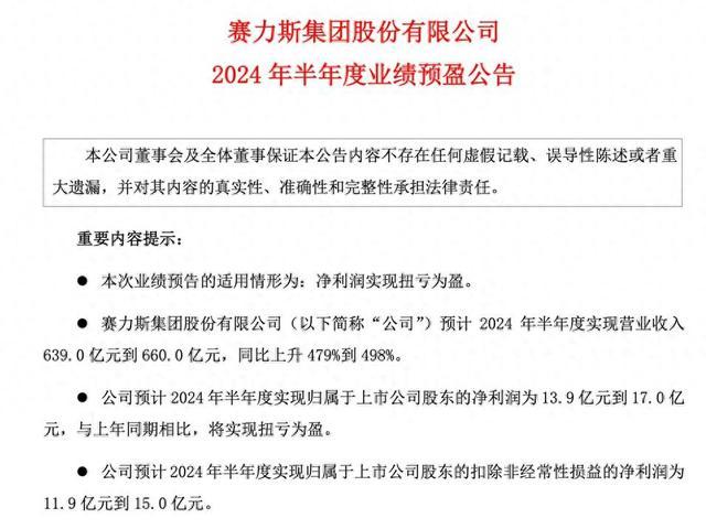 赛力斯发布2024年半年报业绩预告 预计归母净利13.9亿元至17亿元