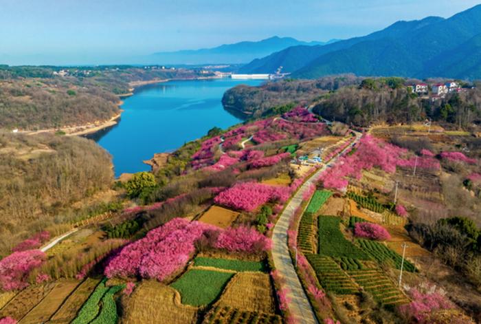 新刊抢读丨这条“致富路、幸福路、连心路、振兴路”，记者穿山越岭探访