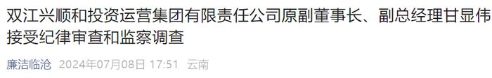 云南一企业原副董事长主动投案