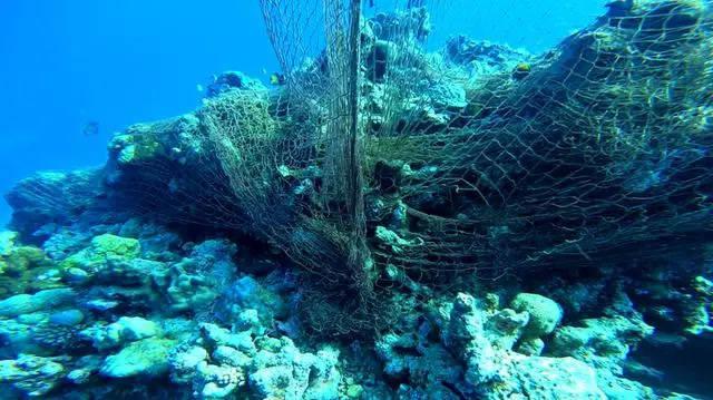 菲律宾反指中国破坏南海珊瑚礁，外交部驳斥
