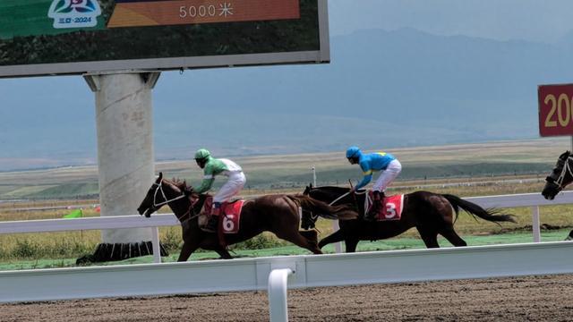 聚焦全国少数民族传统体育运动会丨内蒙古代表团收获民族赛马5000米二等奖和三等奖