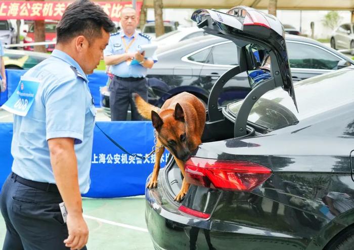 寻找“警犬之王”！上海公安警犬技术比武竞赛启动