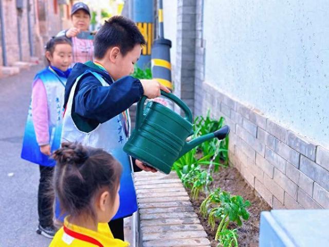 当都市人有了“植物朋友”——2024“唤醒心中的花园”青年创新创意征集活动等你参加