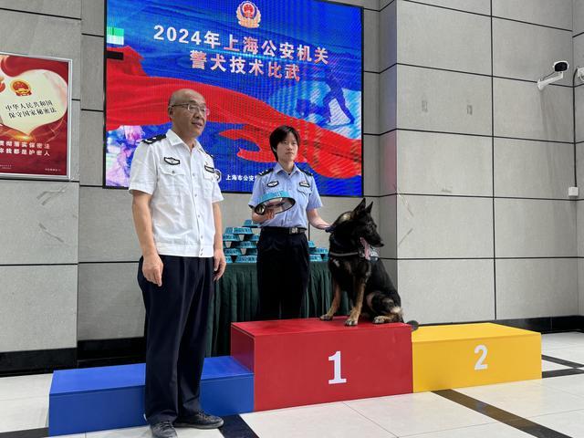 上海警犬大比武，七岁牧羊犬“烈火”获搜捕科目冠军