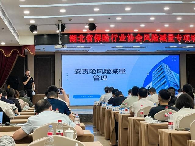 安环家受邀参加湖北省保险行业协会风险减量专项培训会议