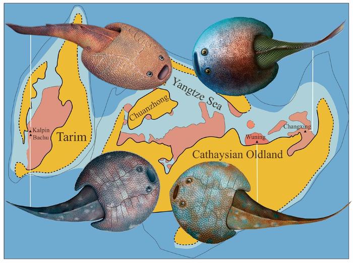 4.38亿年前的长兴鱼在新疆塔里木盆地和浙江长兴同时现身