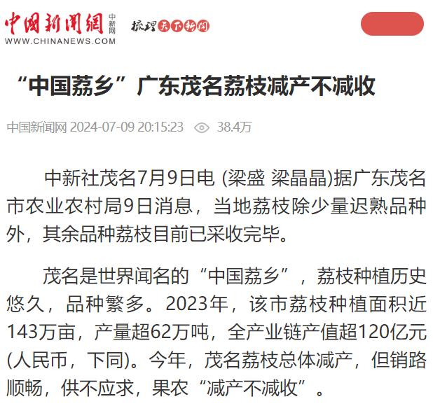 百千万工程 | 中新社报道： “中国荔乡”广东茂名荔枝减产不减收