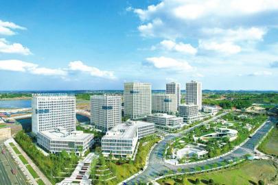 内江市东兴区：打造百亿产业 争创中国服务外包示范城市核心区