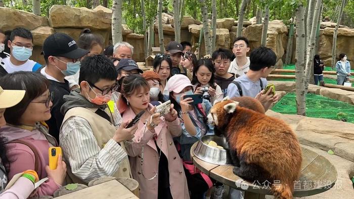北京野生动物园持续提升获认可