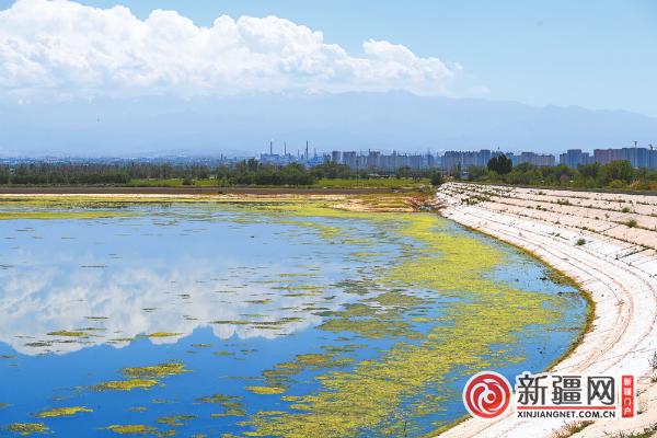 【水润乌鲁木齐——河湖生态行全媒体系列报道】一湖碧水映雪山