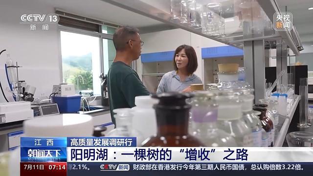 高质量发展调研行丨一棵树，长出了年产值超10亿的“大产业”