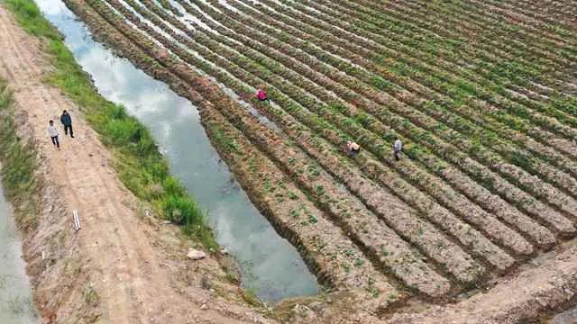 新时代检察宣传周 | 中山：保护土地资源 严守耕地红线