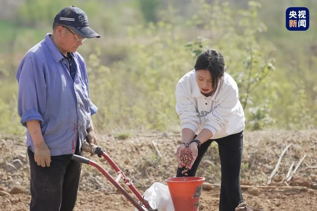 24岁当上村长！这位河南姑娘“在做一件很酷的事”