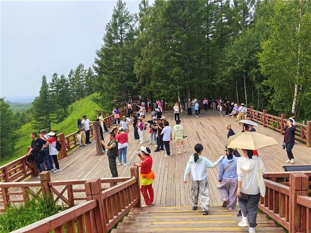 走进阿尔山，感受“天然空调”的绿色魅力！