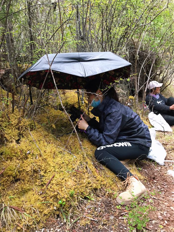 “果菌王”由网友寄到研究实验室，“长菌苹果”被切片观察