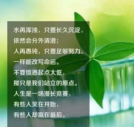 努力是一种态度，与年龄无关！