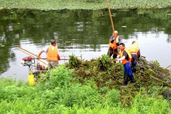 南京桠溪街道：机械清理河道杂草 开辟防汛抗旱绿色通道