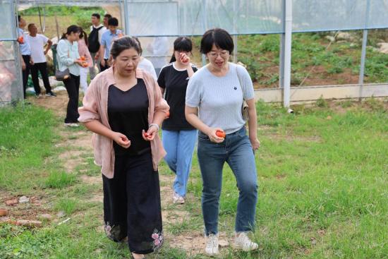 肥西铭传乡：“头雁”回访 ，助力乡村人才振兴