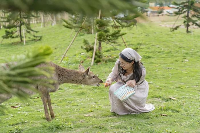 盈香夏日游玩攻略！机动、水世界、剧场表演、动物园...超多景点一次玩够