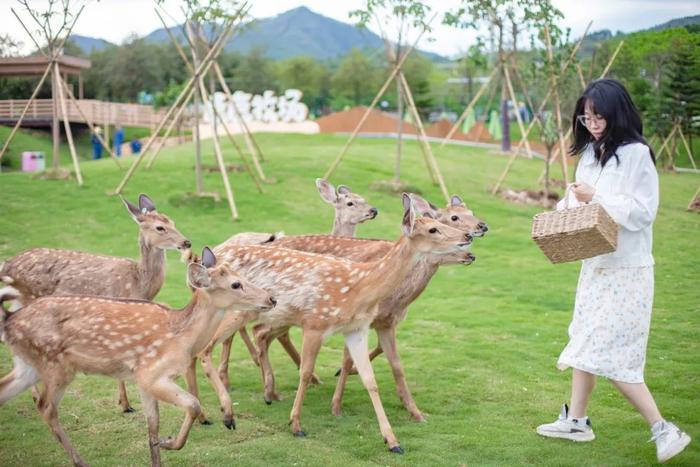 盈香夏日游玩攻略！机动、水世界、剧场表演、动物园...超多景点一次玩够