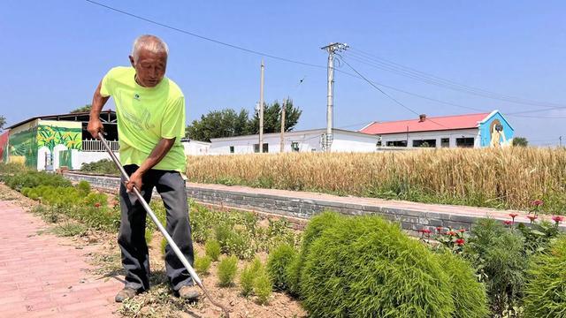 厉害了！村民变股东，人人拿分红……