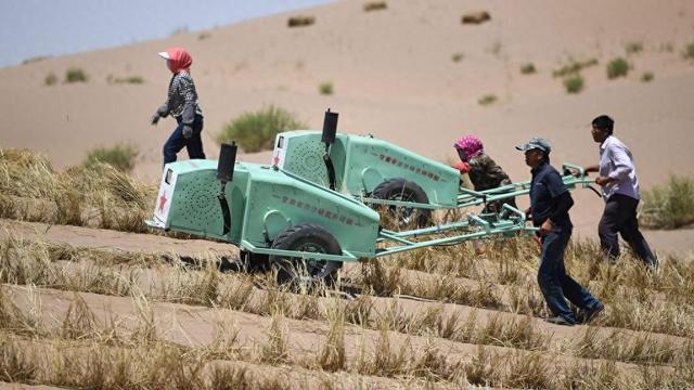 国际防治沙尘暴日：近十年我国春季沙尘天气减至年均9.2次