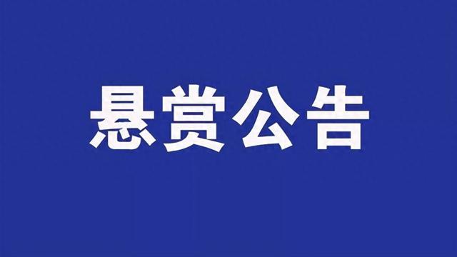 雁塔区人民法院发布执行悬赏公告第十九期