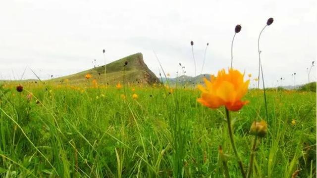 内蒙古很近｜8月通航！快来查看打开这片草原的正确方式√